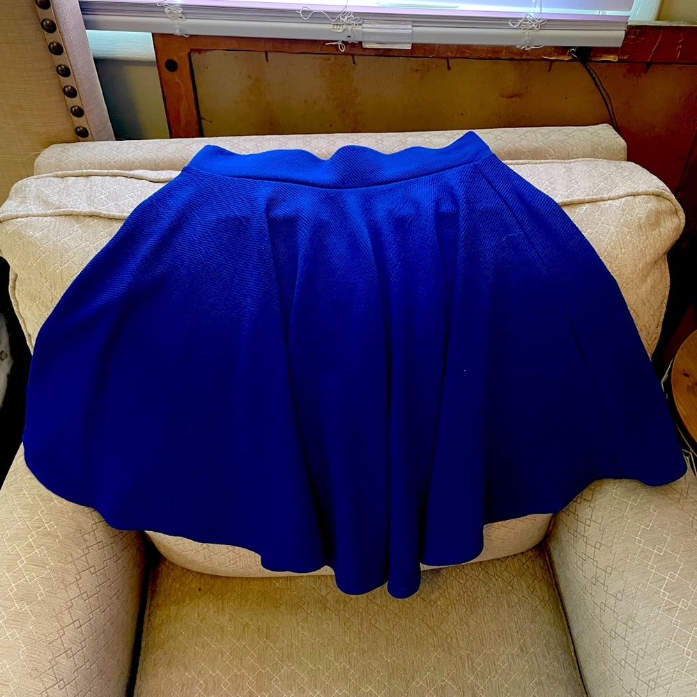 Blue Knee Length skirt